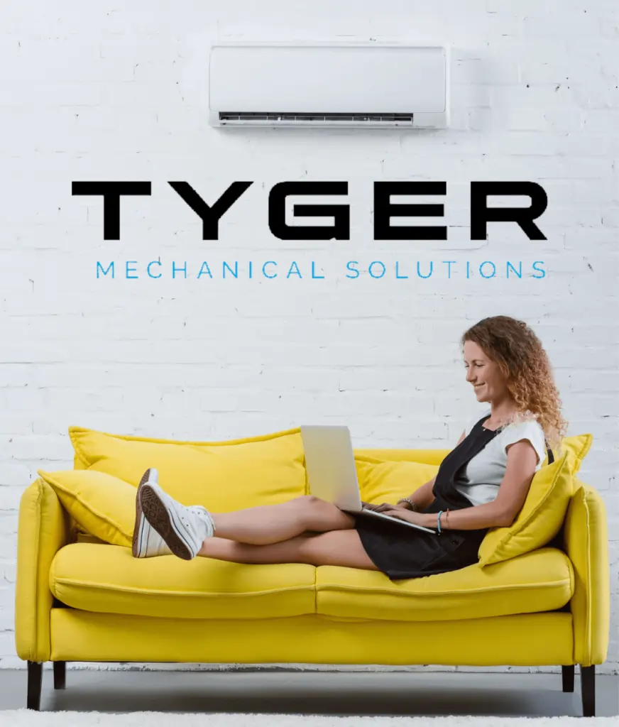 Mitsubishi Electric Mini Splits