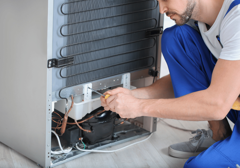 repairing small commercial fridge windsor professional commercial fridge repair