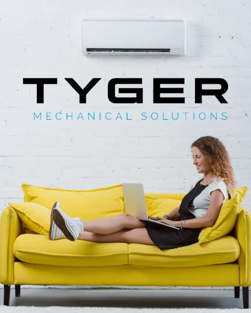 Mitsubishi Electric Mini Splits